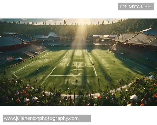 全球足球明星场地排名前十揭晓他们的主场魅力与竞技风采