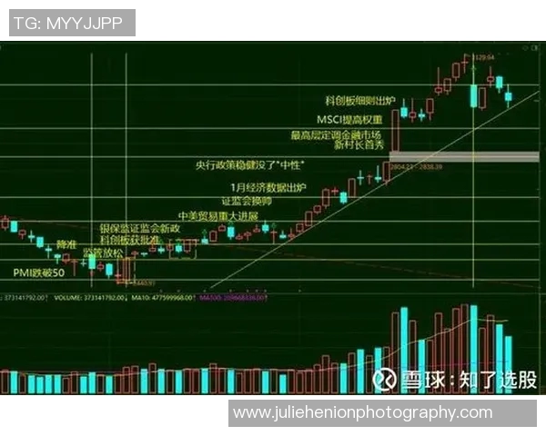 南京羽毛球队与武汉羽毛球队赛后复盘分析比赛节奏与战术对决 南京羽毛球队与武汉羽毛球队赛后复盘分析比赛节奏与战术对决