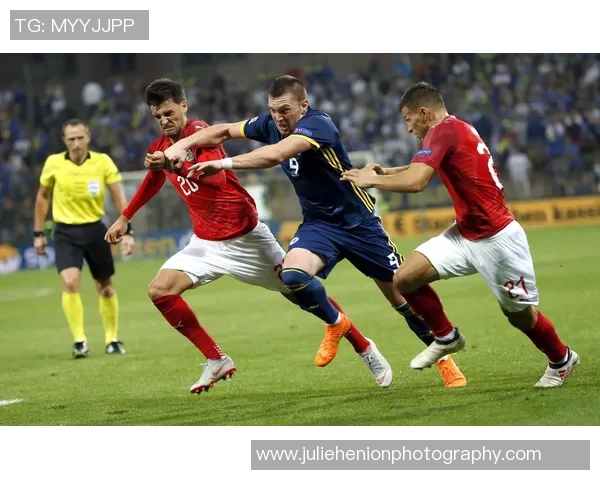 波黑足球明星的传奇之路与他们的辉煌成就探秘