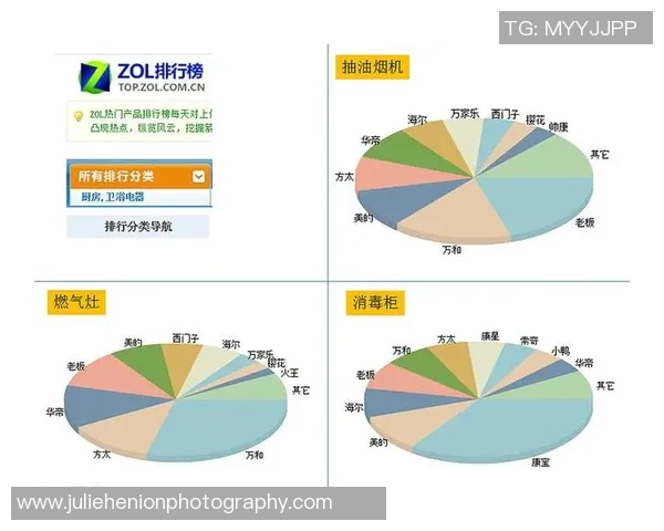 数据分析：深圳篮球队的耐力表现
