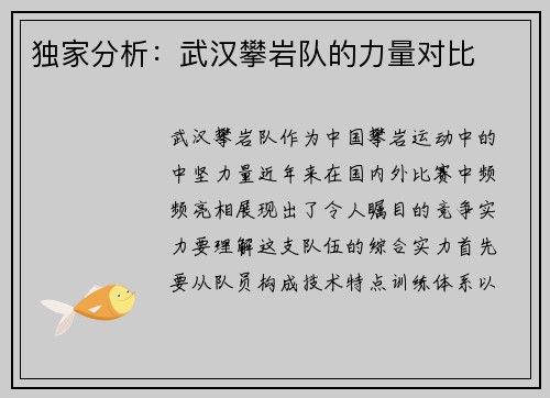 独家分析：武汉攀岩队的力量对比