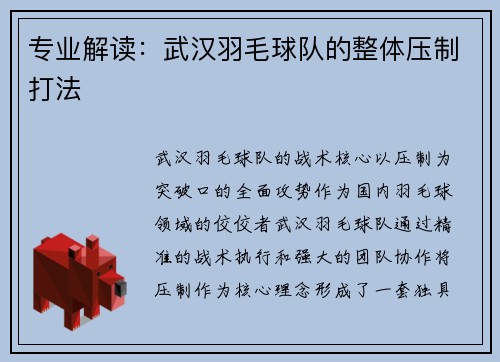专业解读：武汉羽毛球队的整体压制打法