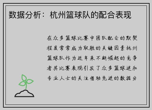 数据分析：杭州篮球队的配合表现